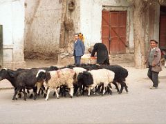 12 Kashgar Old City Street Scene 1993 Shepherd And His Sheep.jpg